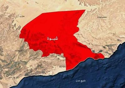 جهود أمنية جنوبية لإنهاء جرائم الثأر.. ضربة لتيارات الشر "المغذية"