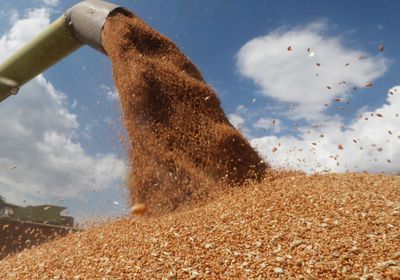 روسيا تشهد طفرة في صادرات الدقيق بزيادة 38%