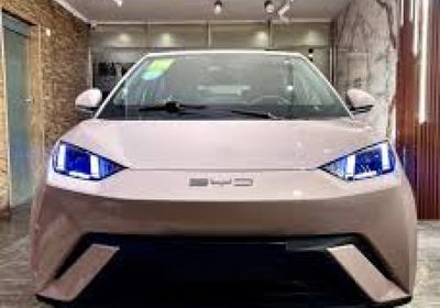 بي واي دي تستحوذ بالكامل على مشروع "دينزا"