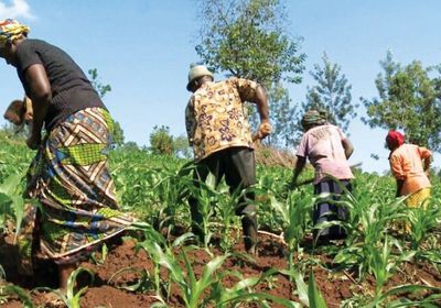 ديون إفريقيا تتجاوز التريليون دولار مع ارتفاع الفوائد