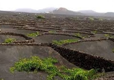 المغرب يعلن اكتشاف أقدم وأكبر مركب زراعي