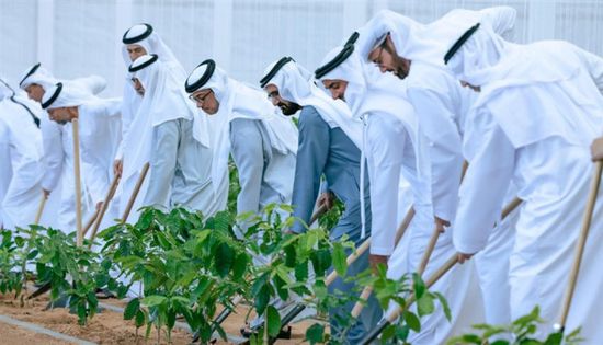 محمد بن راشد يعلن إطلاق برنامج "إزرع الإمارات"