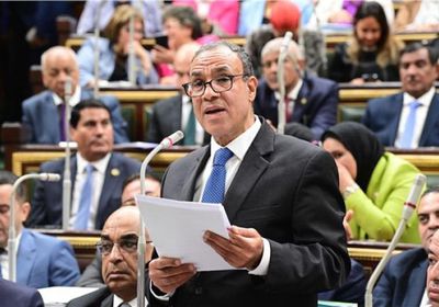 الخارجية المصرية: قانون الإجراءات الجنائية نقلة نوعية للنهوض بحقوق الإنسان