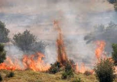 اندلاع حرائق غرب القدس جراء شظايا