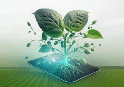 مبادرة "مهمة الابتكار الزراعي للمناخ" تعزز استثماراتها