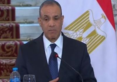 الخارجية المصرية: الاعتداءات الإسرائيلية على غزة والضفة ولبنان تهديد للأمن والسلم الدوليين