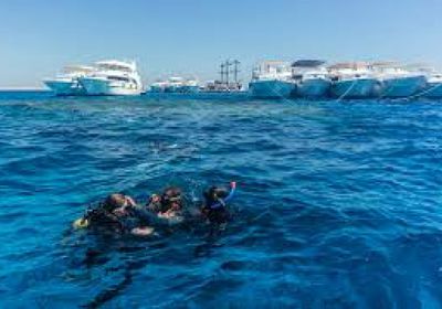 غرق مركب سياحي في البحر الأحمر يقل 45 شخصا وإنقاذ 16