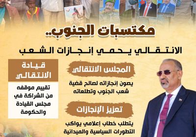 مكتسبات الجنوب.. الانتقالي يحمي إنجازاته (إنفوجراف)