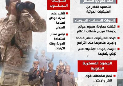 الضالع تكسر المليشيا.. القوات الجنوبية تواصل دحر مخططات التصعيد الحوثية (إنفوجراف)