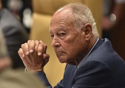    جامعة الدول العربية تؤكد ضرورة احترام سيادة سوريا