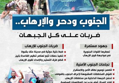 الجنوب ودحر الإرهاب.. ضربات على كل الجبهات (إنفوجراف)