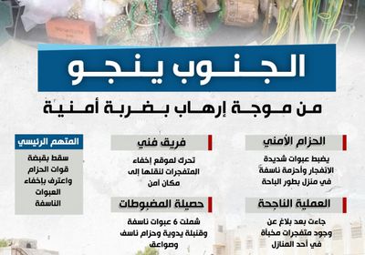 الجنوب ينجو من موجة إرهاب بضربة أمنية (إنفوجراف)