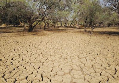 محادثات مكافحة التصحر في السعودية تدخل مرحلة الحسم