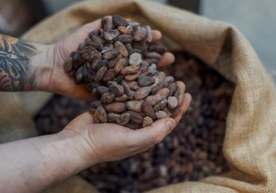 صعود أسعار الكاكاو لمستويات قياسية وسط نقص الإمدادات