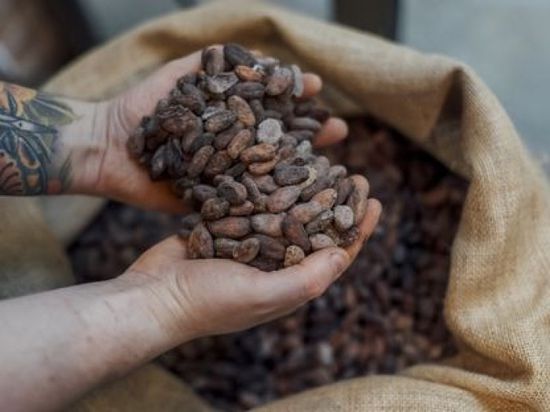 صعود أسعار الكاكاو لمستويات قياسية وسط نقص الإمدادات