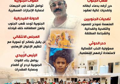 الجنوب.. أرض مروية بدماء أبطالها (إنفوجراف)