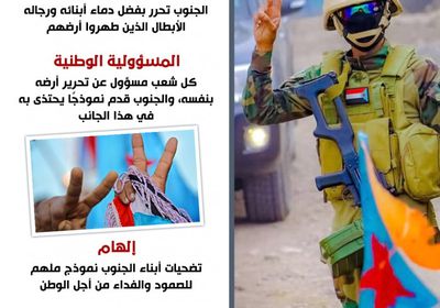 الجنوب.. نموذج للتضحية والصمود (إنفوجراف)