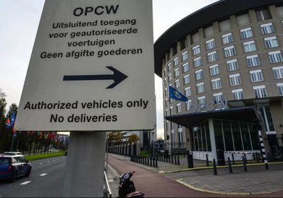 مدير منظمة حظر الأسلحة الكيميائية يحذر من خطر الضربات في سوريا