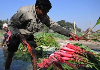 تباطؤ التضخم في الهند بعد ارتفاع قياسي