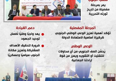 الوعي.. تحصين الصف الجنوبي وتعزيز للإرادة الوطنية(إنفوجراف)