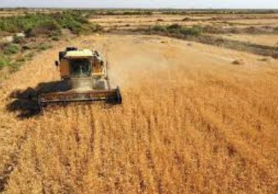 الصين تعلن إنتاج 652 مليون طن حبوب في 2024