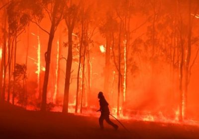 مسؤولون: حرائق الغابات في أستراليا خارجة عن السيطرة وستستمر لأيام