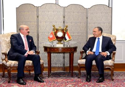 الخارجية المصرية تؤكد أهمية تدشين عملية سياسية في سوريا لا تقصي أحداً