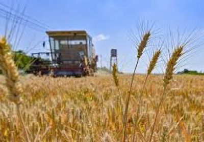 محكمة روسية تصادر ممتلكات شركة لتجارة الحبوب