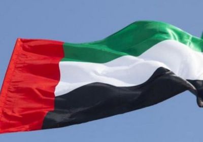 الإمارات تتضامن مع كوريا الجنوبية وتعزي في ضحايا تحطم طائرة