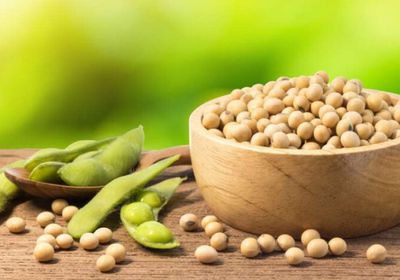 صعود العقود الآجلة لفول الصويا وسط مخاوف بشأن الطقس