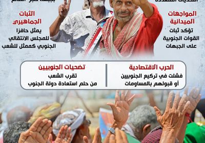 الجنوب.. أرض الصامدين (إنفوجراف)