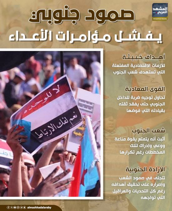 صمود جنوبي يفشل مؤامرات الأعداء (إنفوجراف)