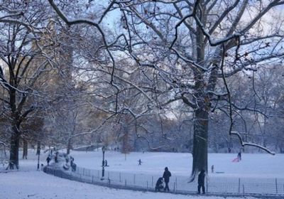 عاصفة ثلجية تضرب الولايات المتحدة