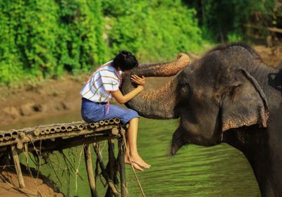    فيل يقتل سائحة إسبانية أثناء استحمامه بتايلاند