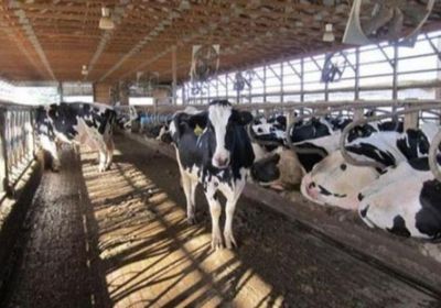 الحمى القلاعية تُغلق حديقتي حيوان في ألمانيا