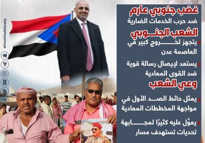 وعي الجنوبيين وتلاحمهم خلف قيادتهم.. حجر زاوية في كسر المؤامرات (إنفوجراف)