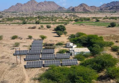 تدخلات إنسانية.. دعم إماراتي سخي ينعش الأوضاع المعيشية في أبين