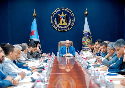 الانتقالي: شراكة الجنوب بمجلس القيادة تتطلب صياغة جديدة