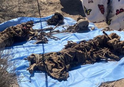 السلطات المكسيكية: العثور على 24 جثة بمقبرة جماعية في غوادالاخارا