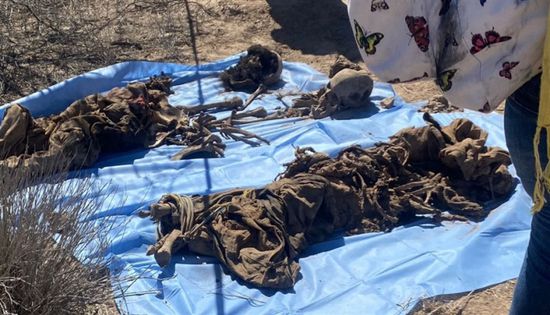 السلطات المكسيكية: العثور على 24 جثة بمقبرة جماعية في غوادالاخارا