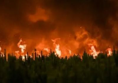 ارتفاع مساحات الغطاء النباتي المُدمّرة من الحرائق في البرازيل 79% عام 2024