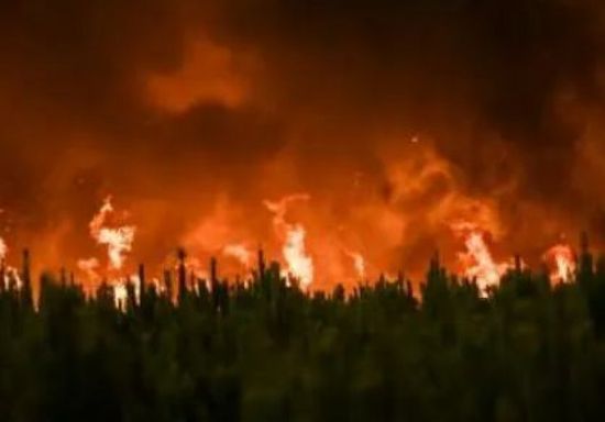 ارتفاع مساحات الغطاء النباتي المُدمّرة من الحرائق في البرازيل 79% عام 2024