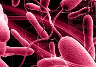 أنجولا تعلن عن 32 حالة وفاة بسبب الكوليرا