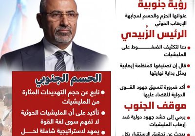 رؤية الجنوب لدحر الإرهاب الحوثي.. الحزم مطلوب والتراخي يثير تعقيدات (إنفوجراف)