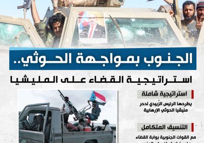 الجنوب بمواجهة الحوثي.. استراتيجية القضاء على المليشيا (إنفوجراف)