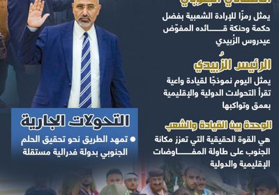 الإرادة الشعبية والقيادة الحكيمة.. معادلة النجاح الجنوبي (إنفوجراف)