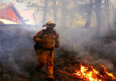 ارتفاع حصيلة ضحايا حرائق الغابات في كاليفورنيا لـ29 شخصًا