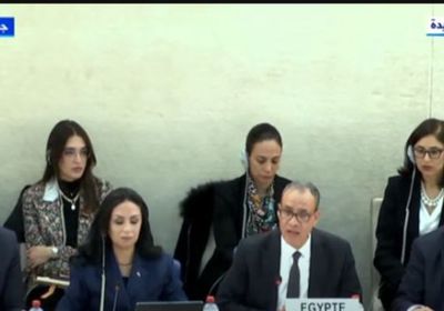 وزير الخارجية المصري: نرفض أي شكل من أشكال التهجير