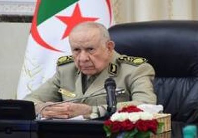 الجزائر تبحث مع الناتو سبل تعزيز الحوار