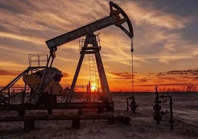 استقرار أسعار النفط في التعاملات المبكرة 